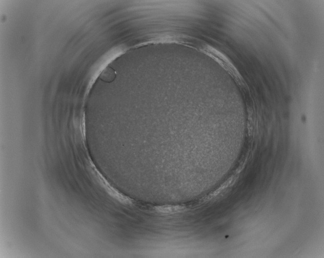 X0000071760804200607282146