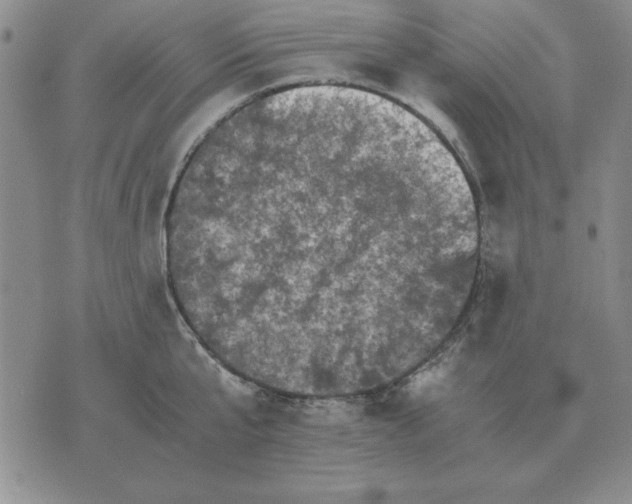 X0000071760807200607282146