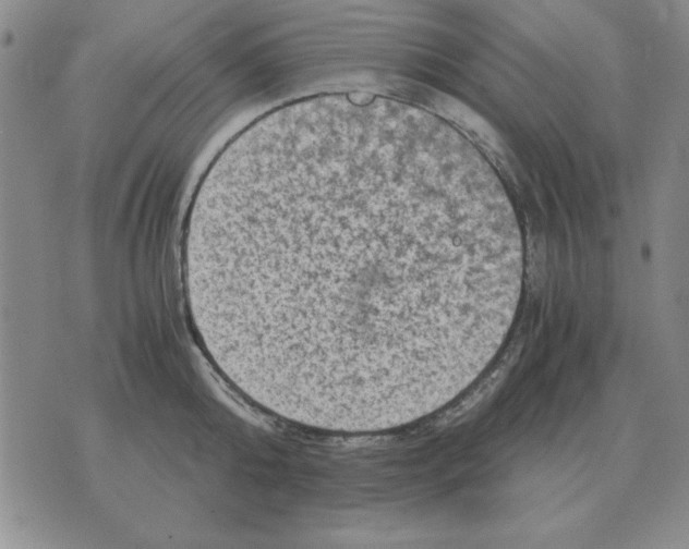 X0000071760808200607282146