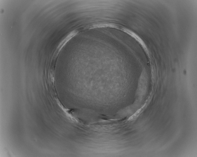 X0000071760809200607282146