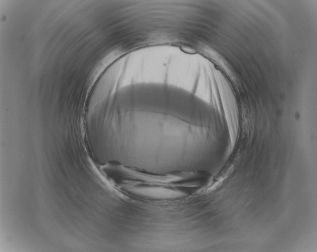 X0000071760810200607282146