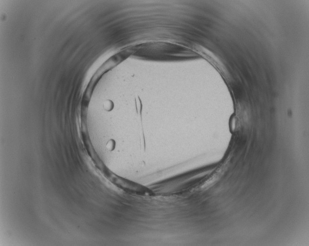 X0000071760812200607282146