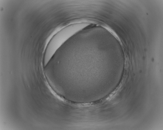 X0000071760813200607282146