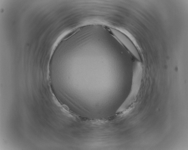 X0000071760815200607282146