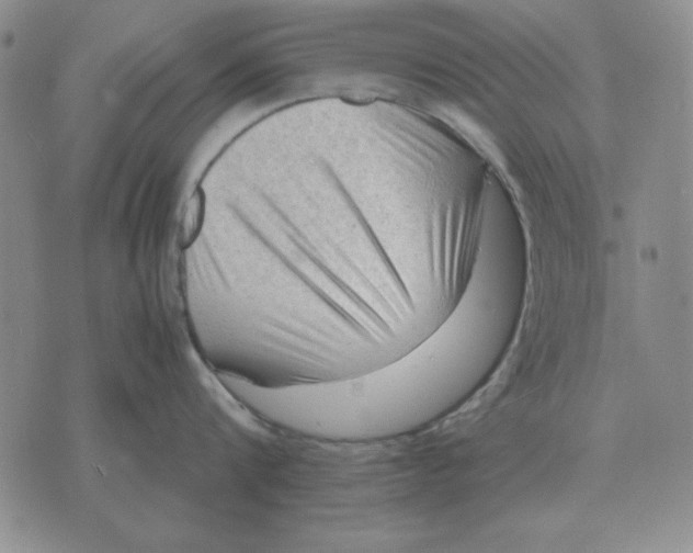 X0000071760816200607282146