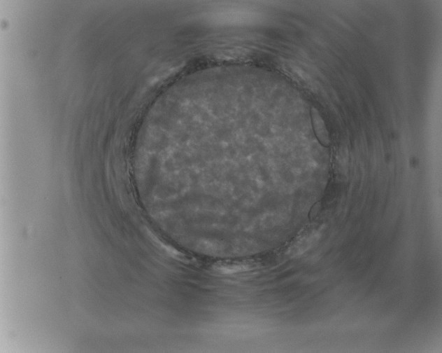 X0000071760817200607282145