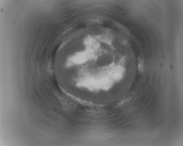 X0000071760819200607282145