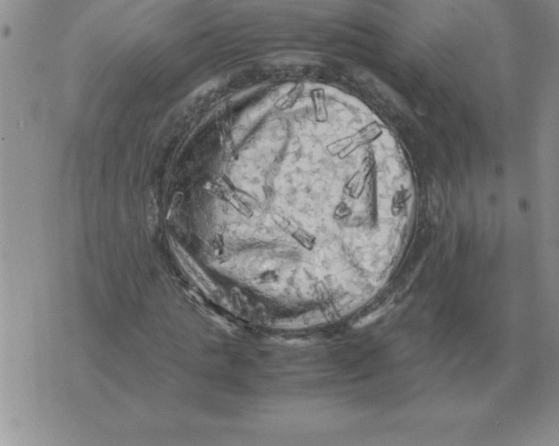 X0000071760821200607282145