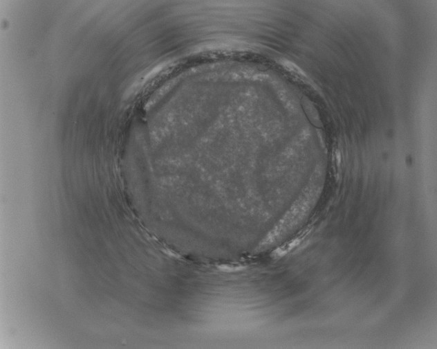 X0000071760822200607282145