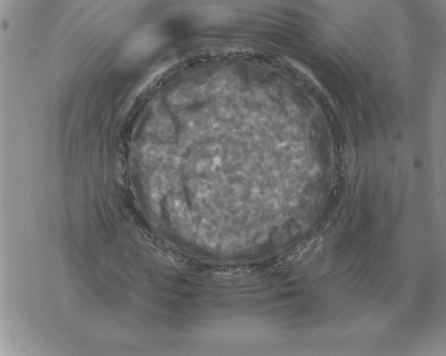 X0000071760823200607282145