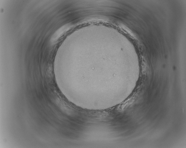 X0000071760824200607282145