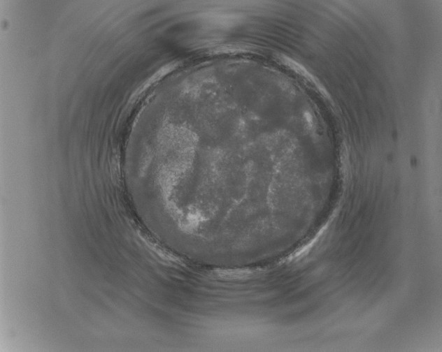 X0000071760825200607282145