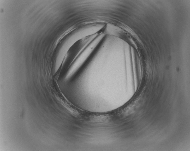 X0000071760826200607282145