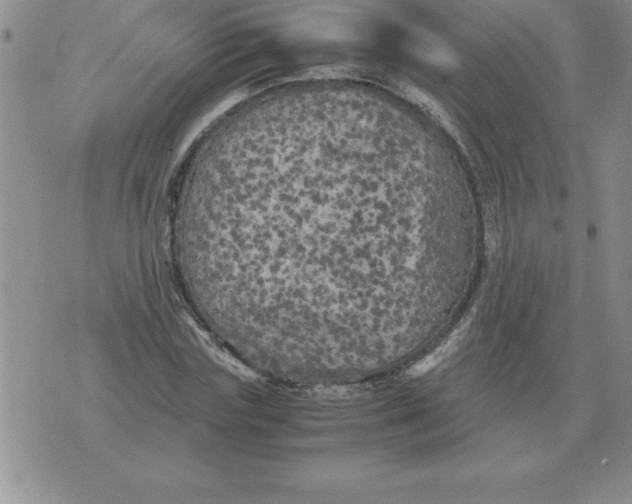 X0000071760827200607282145