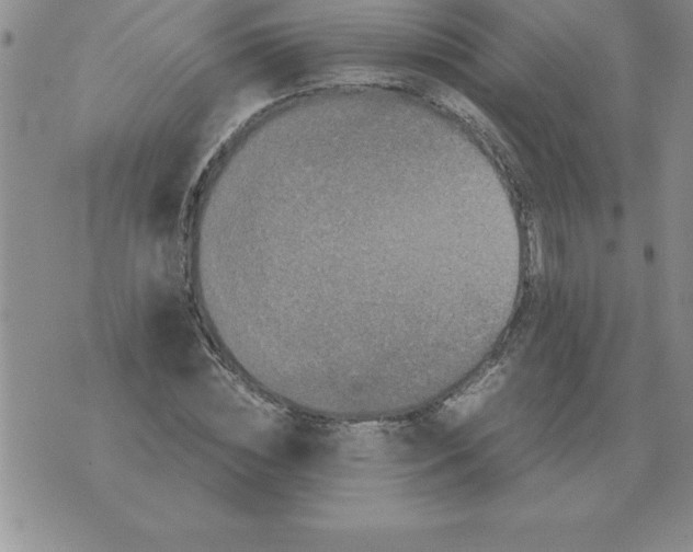 X0000071760828200607282145