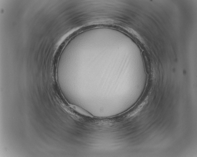 X0000071760830200607282145