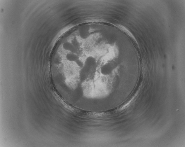 X0000071760831200607282145