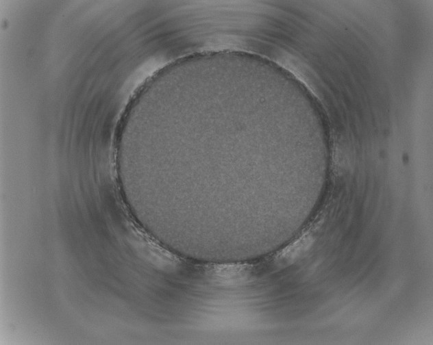 X0000071760832200607282145