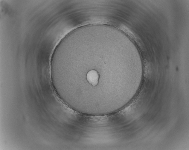 X0000071760836200607282146