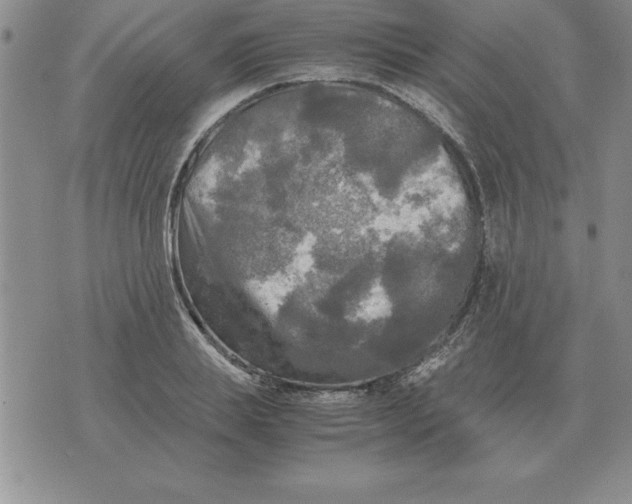 X0000071760839200607282146