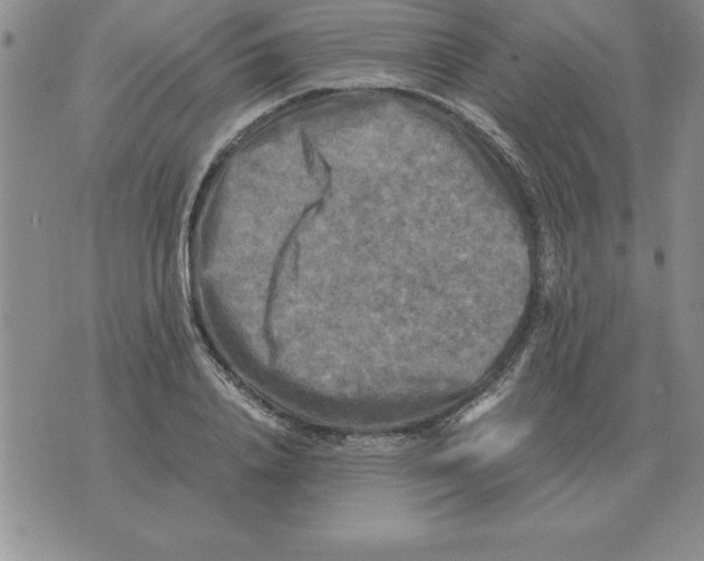 X0000071760840200607282146