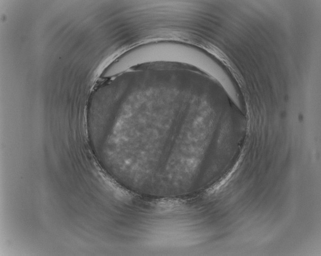 X0000071760842200607282146