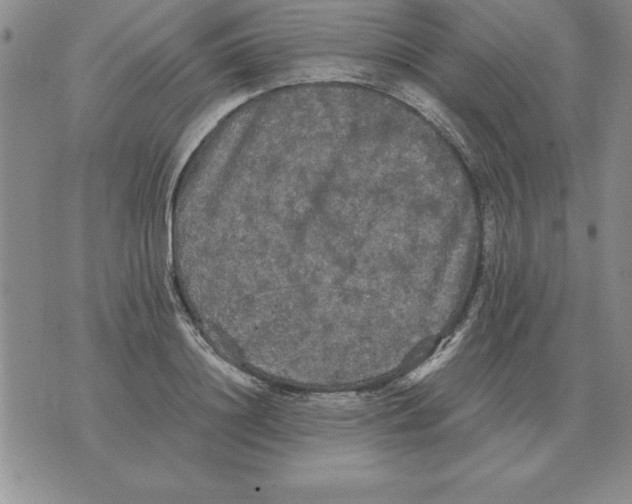 X0000071760844200607282146