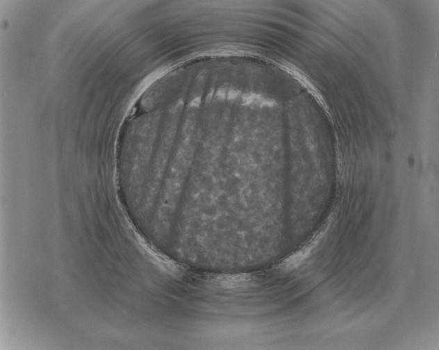 X0000071760845200607282146