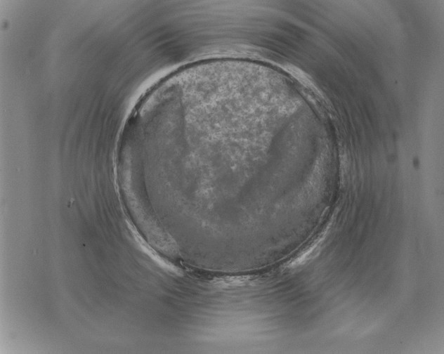 X0000071760846200607282146