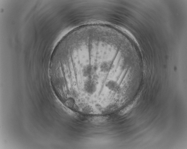 X0000071760847200607282146