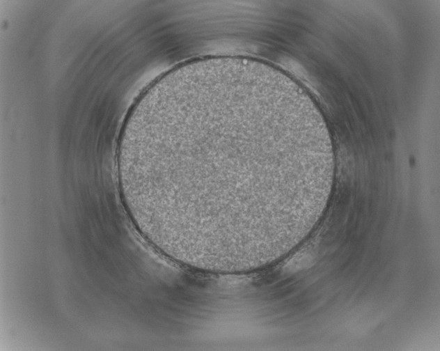 X0000071760848200607282146