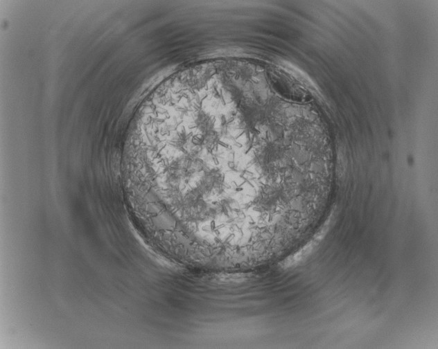 X0000071760849200607282146