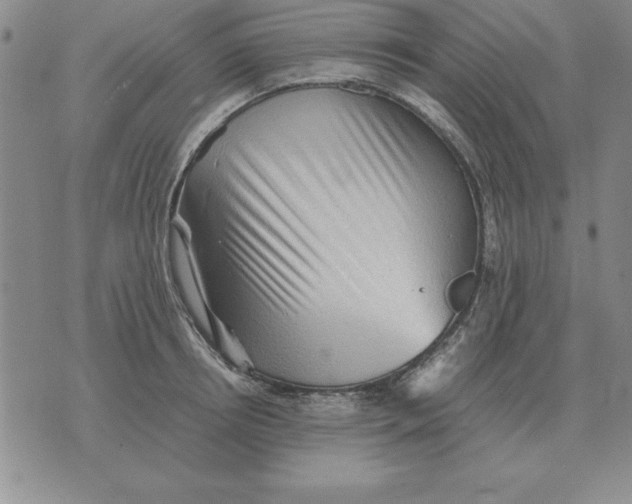 X0000071760850200607282146