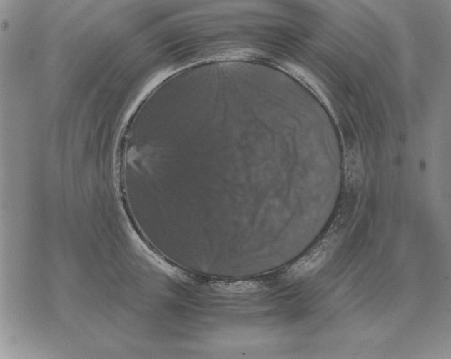 X0000071760851200607282146