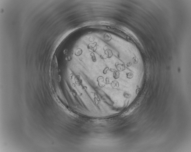 X0000071760852200607282146