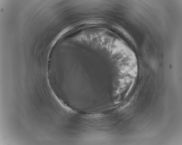 X0000071760853200607282146