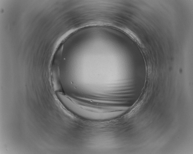 X0000071760854200607282146