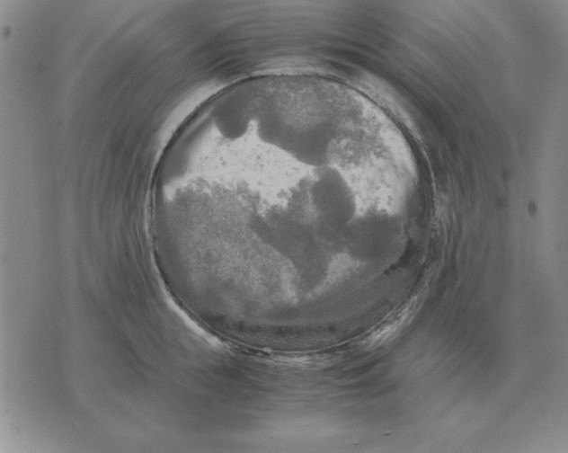 X0000071760855200607282146