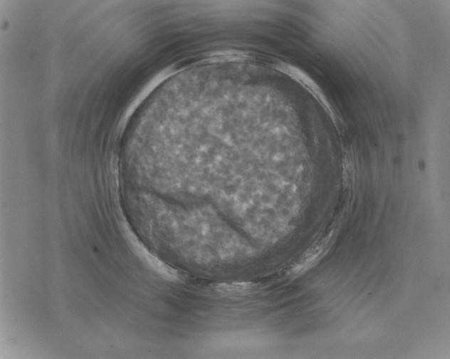 X0000071760859200607282146