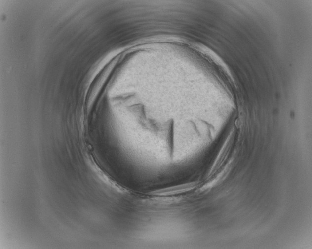 X0000071760860200607282146