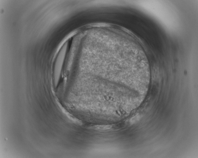 X0000071760861200607282146