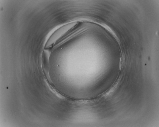 X0000071760862200607282146