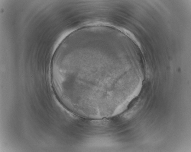 X0000071760863200607282146