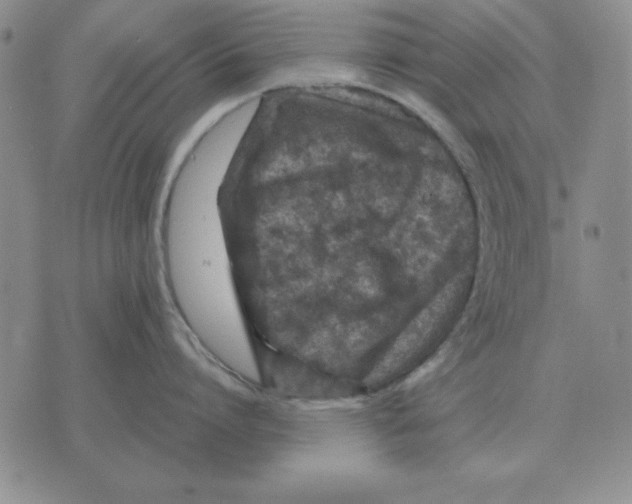 X0000071760864200607282146