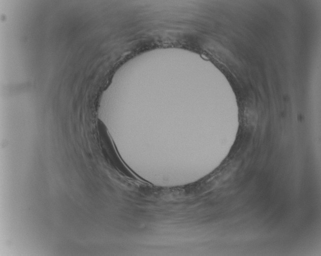 X0000071760865200607282145