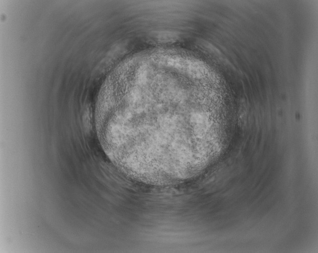 X0000071760866200607282145