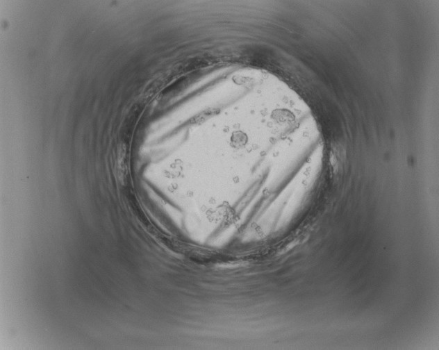 X0000071760867200607282145