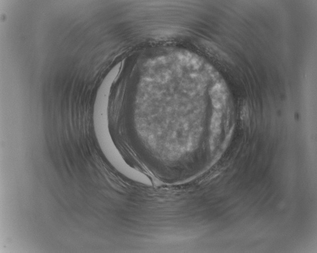 X0000071760868200607282145