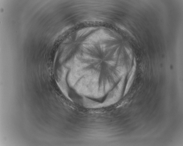 X0000071760870200607282145