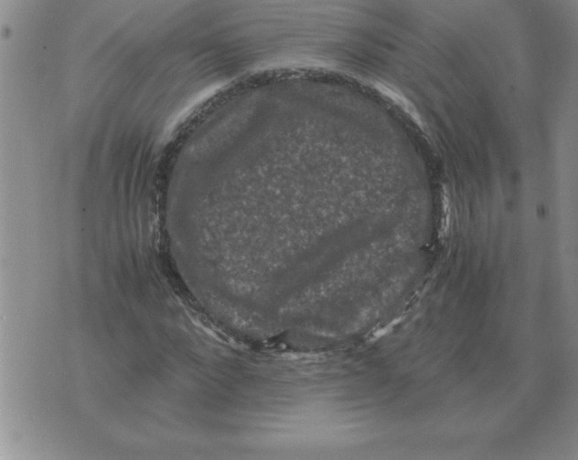 X0000071760872200607282145